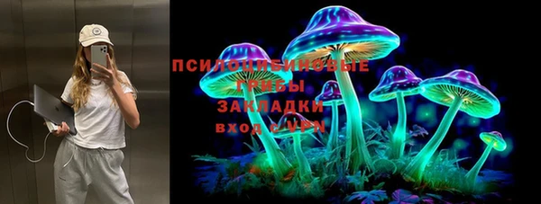 гашик Алексеевка