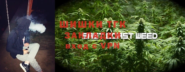 гашик Алексеевка
