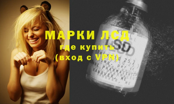 гашик Алексеевка