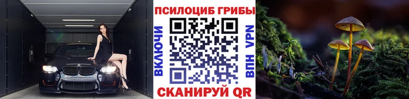 Галлюциногенные грибы Psilocybine cubensis  как найти закладки  OMG как зайти  Бабаево 